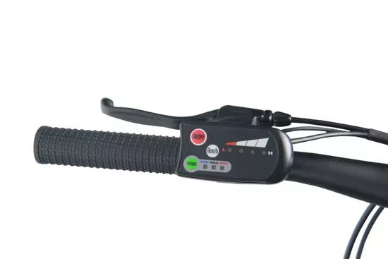 FALCON SPARK-Electric Bike-Mountain-ET Bikes-637318