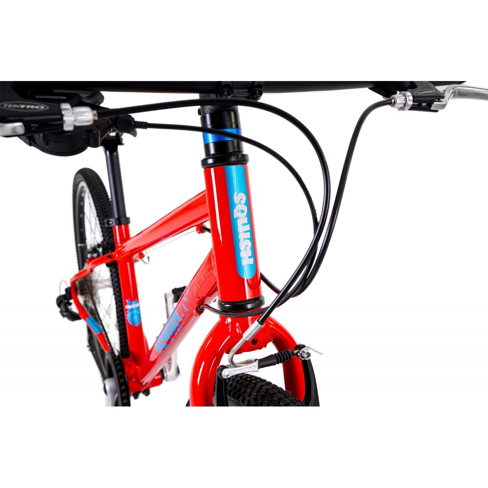 SQUISH-Bicycle-Junior-13/26-15/26-Dark grey-Aqua-Red-6439130-A
